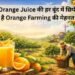 Orange Juice की हर बूंद में छिपी है Orange Farming की मेहनत