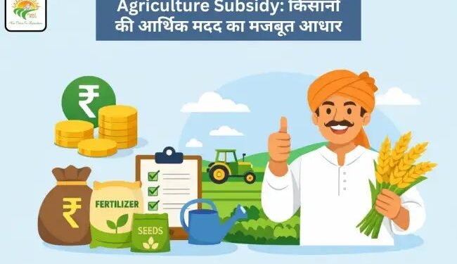 Agriculture Subsidy: किसानों की आर्थिक मदद का मजबूत आधार