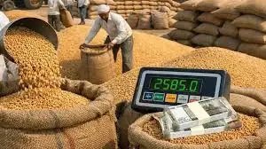 यूपी में गेहूं खरीद शुरू: MSP बढ़कर ₹2585, 48 घंटे में भुगतान और 50 लाख टन खरीद का लक्ष्य
