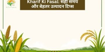 Kharif Ki Fasal: सही समय और बेहतर उत्पादन टिप्स