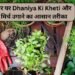 घर पर Dhaniya Ki Kheti और मिर्च उगाने का आसान तरीका