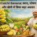 Elaichi Banana: स्वाद, पोषण और खेती में छिपा बड़ा अवसर