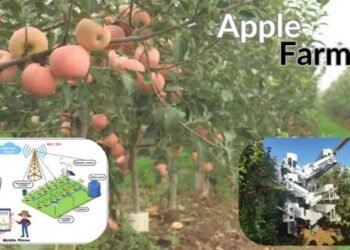 Apple Farming में नई तकनीकें और आधुनिक नवाचार (विस्तृत विवरण)