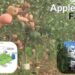 Apple Farming में नई तकनीकें और आधुनिक नवाचार (विस्तृत विवरण)