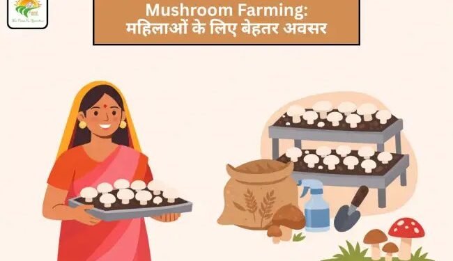Mushroom Farming: महिलाओं के लिए बेहतर अवसर