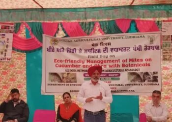 खीरा-भिंडी की फसल को कीटों से बचाने के लिए वैज्ञानिकों ने बताए पर्यावरण अनुकूल उपाय
