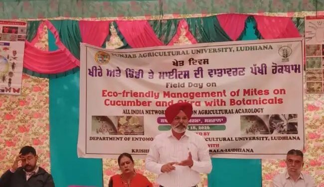 खीरा-भिंडी की फसल को कीटों से बचाने के लिए वैज्ञानिकों ने बताए पर्यावरण अनुकूल उपाय