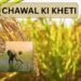 Chawal Ki Kheti (rice cultivation) बेहतर गुणवत्ता के साथ नई दिशा