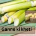Ganne ki kheti भुगतान को लेकर सरकार पर दबाव: किसानों की बढ़ती चिंता