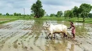 सहकारिता क्षेत्र में बड़े सुधार: बैंकिंग, टैक्स, कृषि और निर्यात को मिला नया बल