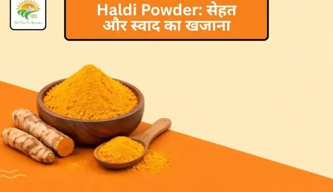 Haldi Powder: सेहत और स्वाद का खजाना