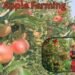 Apple Farming में सफलता के लिए जरूरी तकनीक और ज्ञान