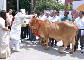 दुग्ध उत्पादन में यूपी का जलवा: ‘दुग्ध स्वर्ण महोत्सव 2026’ में ₹3,000 करोड़ के नए समझौते, हजारों को मिला फायदा