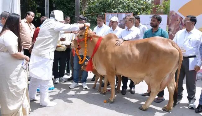 दुग्ध उत्पादन में यूपी का जलवा: ‘दुग्ध स्वर्ण महोत्सव 2026’ में ₹3,000 करोड़ के नए समझौते, हजारों को मिला फायदा
