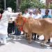 दुग्ध उत्पादन में यूपी का जलवा: ‘दुग्ध स्वर्ण महोत्सव 2026’ में ₹3,000 करोड़ के नए समझौते, हजारों को मिला फायदा