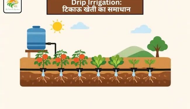 Drip Irrigation: टिकाऊ खेती का समाधान