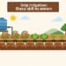 Drip Irrigation: टिकाऊ खेती का समाधान