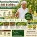 Amla Farming Methods (आंवला खेती के तरीके) किसानों के लिए लाभदायक एग्रीबिजनेस गाइड