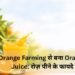 Orange Farming से बना Orange Juice: रोज़ पीने के फायदे