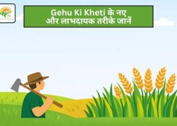 Gehu Ki Kheti के नए और लाभदायक तरीके जानें