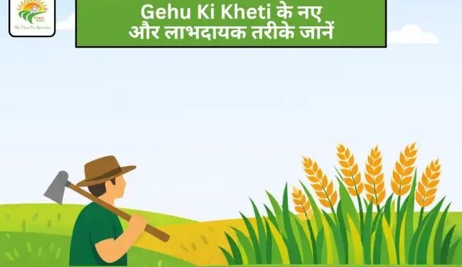 Gehu Ki Kheti के नए और लाभदायक तरीके जानें