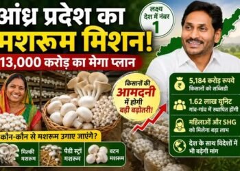 मशरूम मिशन से बदलेगी खेती की तस्वीर! आंध्र प्रदेश का 13,000 करोड़ का मेगा प्लान