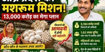 मशरूम मिशन से बदलेगी खेती की तस्वीर! आंध्र प्रदेश का 13,000 करोड़ का मेगा प्लान
