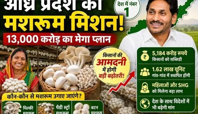 मशरूम मिशन से बदलेगी खेती की तस्वीर! आंध्र प्रदेश का 13,000 करोड़ का मेगा प्लान