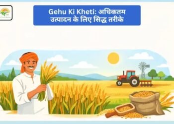 Gehu Ki Kheti: अधिकतम उत्पादन के लिए सिद्ध तरीके