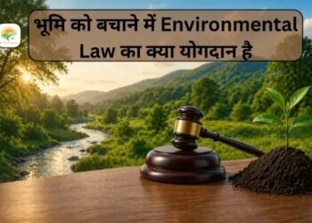भूमि को बचाने में Environmental Law का क्या योगदान है