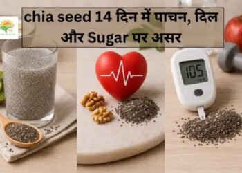 chia seed 14 दिन में पाचन, दिल और Sugar पर असर
