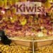 Kiwis की ऑर्गेनिक खेती एक टिकाऊ भविष्य की ओर – किसानों के लिए शक्तिशाली और लाभदायक मार्गदर्शिका