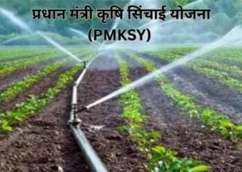प्रधान मंत्री कृषि सिंचाई योजना (PMKSY): खेती में सफलता का नया रास्ता