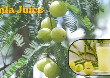 Amla Juice पीने के 10 ऐसे फायदे जो आपको हैरान कर देंगे?