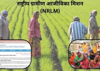 राष्ट्रीय ग्रामीण आजीविका मिशन (NRLM) महिलाओं के सपनों को मिल रही उड़ान