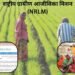 राष्ट्रीय ग्रामीण आजीविका मिशन (NRLM) महिलाओं के सपनों को मिल रही उड़ान