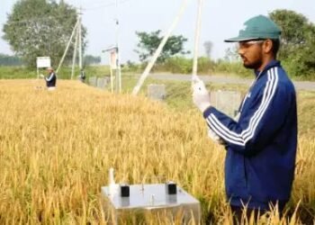 भारत के राइस सेक्टर में बड़ा कदम: Amazon खरीदेगा लो-मीथेन कार्बन क्रेडिट