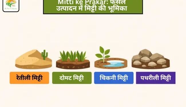 Mitti ke Prakar: फसल उत्पादन में मिट्टी की भूमिका