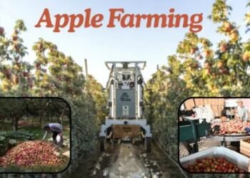 Apple Farming का इतिहास और विकास की कहानी