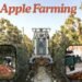 Apple Farming का इतिहास और विकास की कहानी