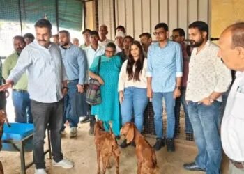 उजवा कृषि विज्ञान केंद्र ने दिया बकरी पालन का व्यावहारिक ज्ञान
