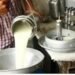 गाय के दूध में राजस्थान नंबर वन, यूपी से कड़ी टक्कर; गुजरात और पंजाब-हरियाणा चौंकाने वाले आंकड़ों के साथ पीछे