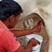 डेयरी सहकारी समितियों में प्रतिस्पर्धा पर सरकार का फोकस, किसानों को सीधे लाभ दिलाने की पहल