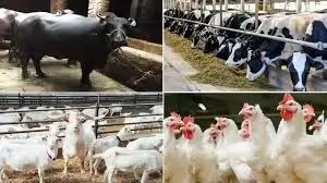 पशुपालन और डेयरी क्षेत्र में प्रशिक्षण व जागरूकता कार्यक्रमों को मिला बढ़ावा, आंध्र प्रदेश समेत राज्यों को व्यापक लाभ
