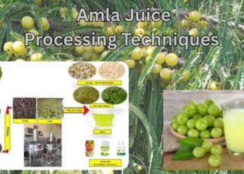 Amla Juice Processing Techniques किसानों के लिए फायदे और अवसर