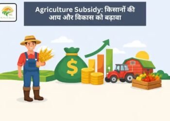 Agriculture Subsidy: किसानों की आय और विकास को बढ़ावा