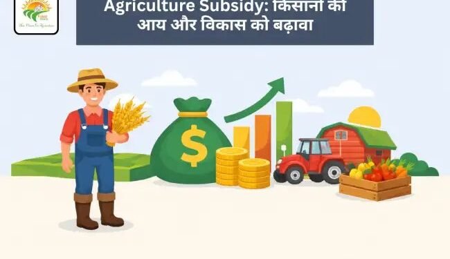 Agriculture Subsidy: किसानों की आय और विकास को बढ़ावा