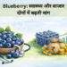 Blueberry: स्वास्थ्य और बाजार दोनों में बढ़ती मांग
