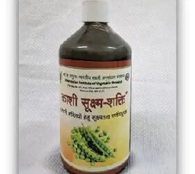 दलहनी सब्जियों में उत्पादकता और पोषण बढ़ाने की दिशा में IIVR की बड़ी उपलब्धि, ‘काशी सूक्ष्म-शक्ति प्लस’ का विकास