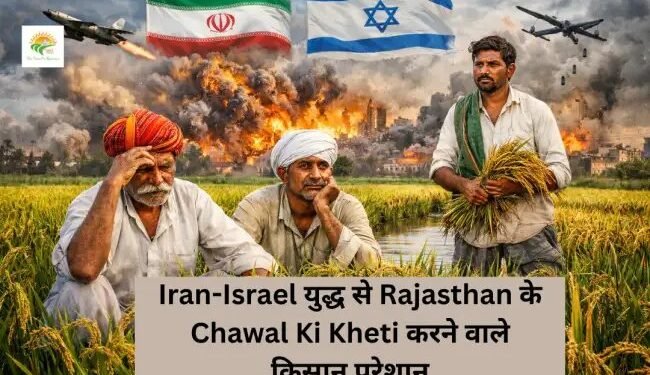 Iran-Israel युद्ध से Rajasthan के Chawal Ki Kheti करने वाले किसान परेशान